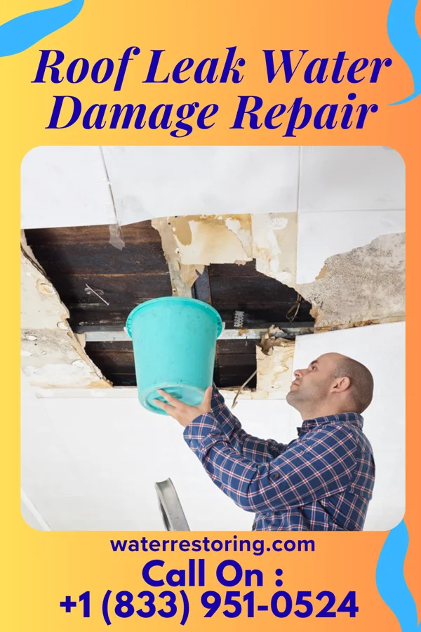 Roof Leak Water Damage Repair in Valparaiso, NE
